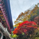 보발재 정상 주차장 | 다시 가보고 싶은 단양여행 단풍명소(구인사,보발재전망대) 단풍 영상후기