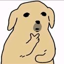 행운이 올거야