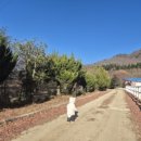 마림목장 이미지