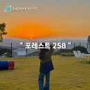 포레스트258 펜션 이미지