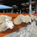 남성목장 이미지