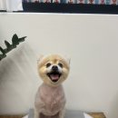 컴피 화명점 이미지