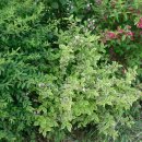 모악농장 이미지