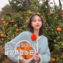 귤향체험농원