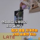 슬기인테리어장식