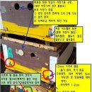 자체교미상 편성 및 1상2왕 경험 공유 이미지