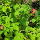 유산리 경로당 이미지