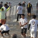 표선리-30 이미지