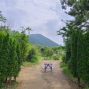 부산라벤더팜, 곰내연꽃밭, 홍연폭포 이미지
