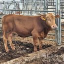 형민농장 이미지