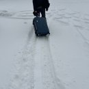 홍빠오 | 제주도 여행 바~로 이맛 아입니꽈~