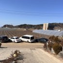 화수칼국수 이미지