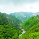 청량산의 봄 이미지