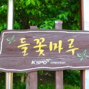 두루마루