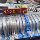 세성문어