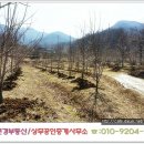상주부동산