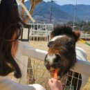 경호농장 이미지