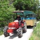 호롱불마을 이미지