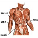 피어나필라테스 - 광명시 하안로288번길 19 | 피어나필라테스