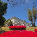 서산수당구장 이미지