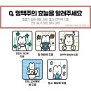 트릿테이블 네이버블로그