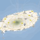 관음사의 왕벚나무자생지 이미지