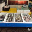 주문진종합시장 이미지