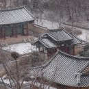 더세종약국 이미지