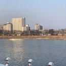 동촌캣 네이버블로그