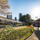 대청(계동)공원 이미지