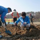 서랑동문화마을 이미지