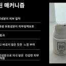 비비뷰티(BB뷰티) - 아산시 | 비비뷰티(BB뷰티)