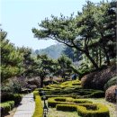만인산 유아숲체험원 이미지