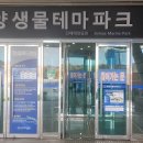 진해해양공원해양생물테마파크 티스토리