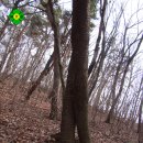 장고개공원 이미지