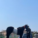 야동목장 이미지