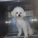 중상보공원 이미지