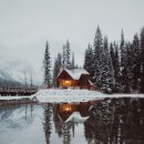 숲속오두막 이미지