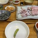 쓰리고포차 - 전주시 덕진구 편운로 15 | 쓰리고포차