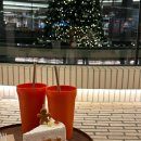 트리트멍멍 이미지