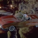 플러버 (flubber) 이미지