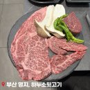 (주)하누소 | 부산 명지 가성비 소고기 식당 하누소뒷고기 명지점
