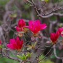 밥사랑술사랑 이미지