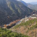 장령산자연휴양림 이미지