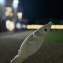 스테이웅 이미지