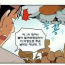 선녀와나무꾼 이미지