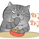 일미리금계찜닭배방점 이미지