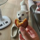 안영순베이커리카페 이미지