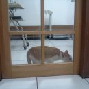 동울산동물병원 이미지