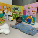 올리브독 | [둥이 임신일기 21~24주차] 둥이 선배 만남, 아가들 투어, 본토막창, 맘마존 완성, 한샘 샘키즈 구매...